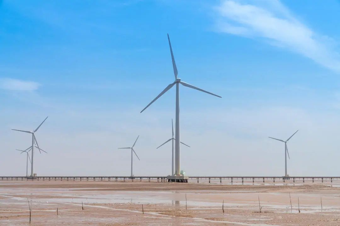 k8����(�й�)����Ӯ�ҡ�һ������